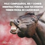 Frases para felicitar cumpleaños 11