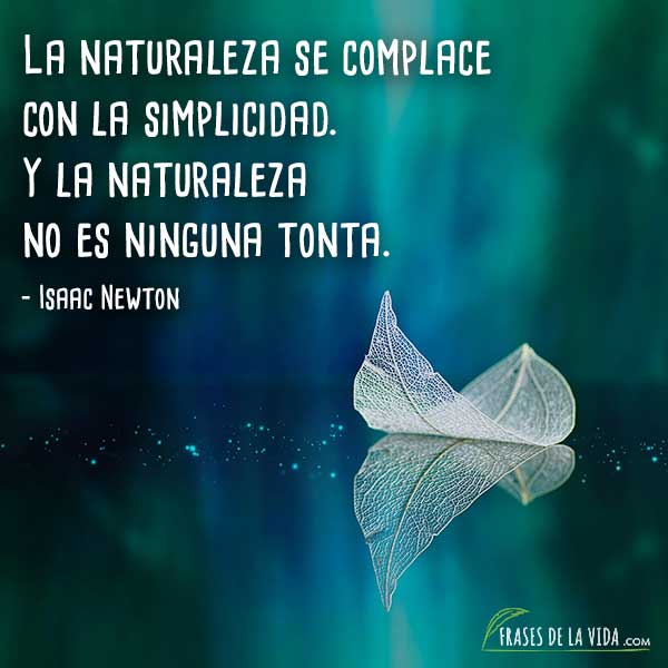 Frases de Isaac Newton, La naturaleza se complace con la simplicidad. Y la naturaleza no es ninguna tonta.