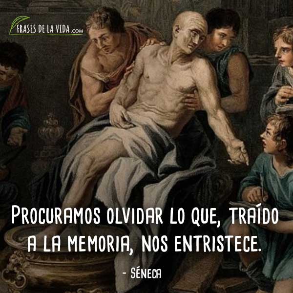 160 Frases de Séneca y la filosofía estoica [Con Imágenes]