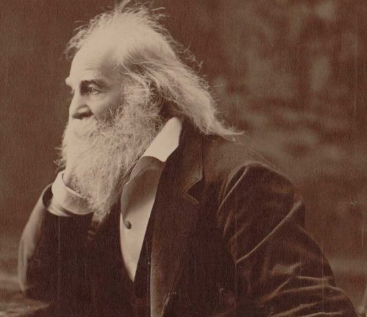 90 Frases de Walt Whitman: el padre de la poesía moderna Frases de Walt Whitman