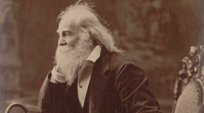 90 Frases de Walt Whitman: el padre de la poesía moderna Frases de Walt Whitman
