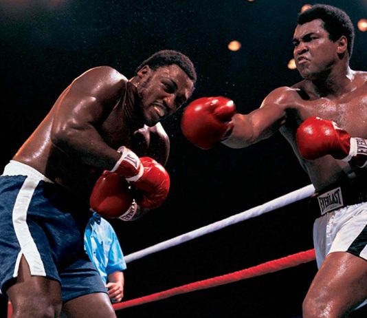 120 Frases de boxeo: lucha dentro y fuera del ring Frases de boxeo