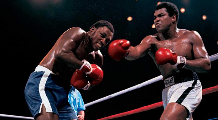 120 Frases de boxeo: lucha dentro y fuera del ring Frases de boxeo