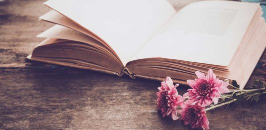 120 Frases poéticas: la belleza en las palabras frases poéticas