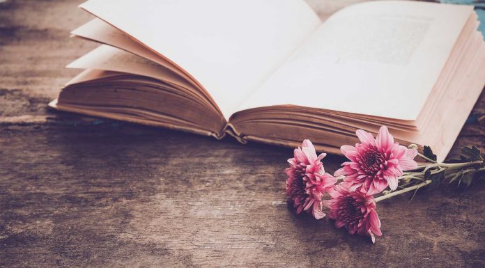 120 Frases poéticas: la belleza en las palabras frases poéticas