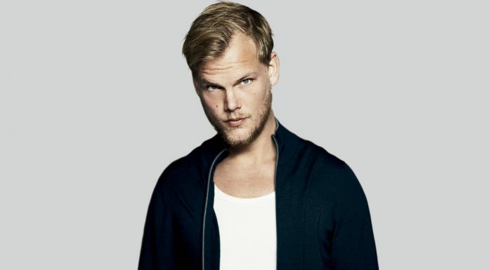30 Frases de Avicii: el DJ que conquistó al mundo Frases de Avicii