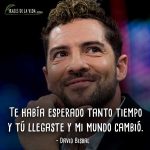 Frases-de-David-Bisbal-9