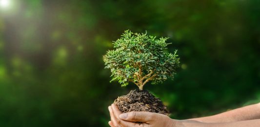 80 Frases de naturaleza: la armonía de los seres vivos Frases de naturaleza