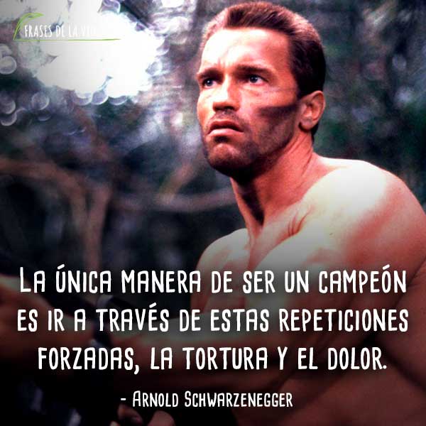 10 frases de Arnold Schwarzenegger para motivarte en el gym