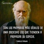 Frases-de-Charles-Darwin-1