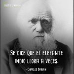 Frases-de-Charles-Darwin-9