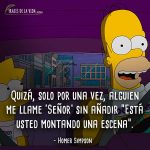 Frases-de-Homer-Simpson-6