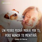 Frases-de-perros-2