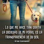 Frases-de-perros-4