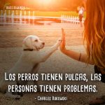 Frases-de-perros-5