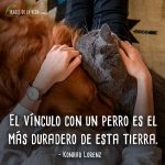 Frases-de-perros-6