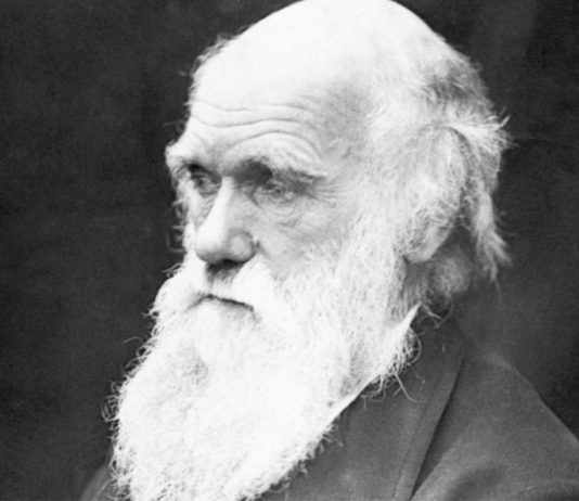 100 Frases de Charles Darwin, creador de la teoría de la evolución frases de charles darwin