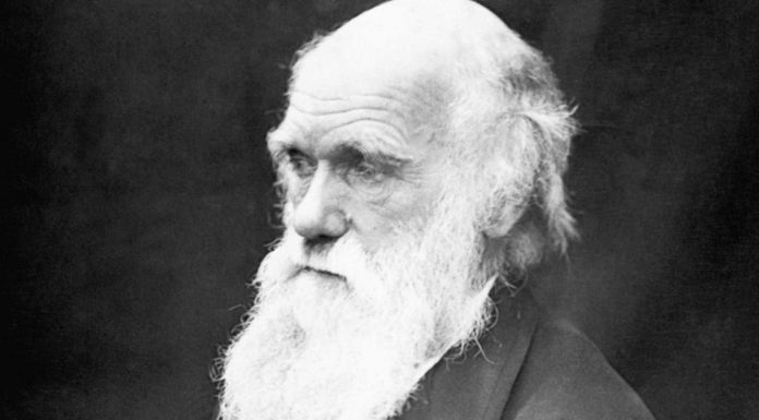 100 Frases de Charles Darwin, creador de la teoría de la evolución frases de charles darwin