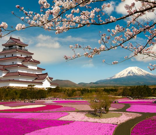 80 Proverbios Japoneses | El país del sol naciente proverbios japoneses