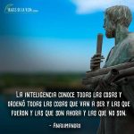 Frases-de-Anaximandro-6