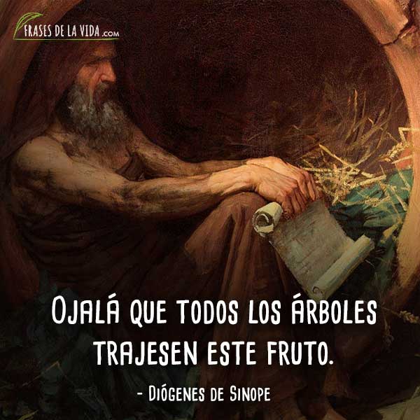 50 Frases de Diógenes de Sinope | El padre del cinismo filosófico