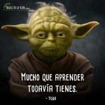 Frases-de-Yoda-1