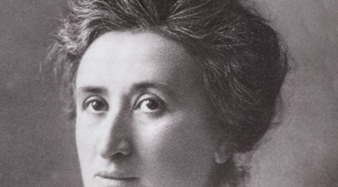 60 Frases de Rosa Luxemburgo | La valiente activista del pueblo Frases de Rosa Luxemburgo