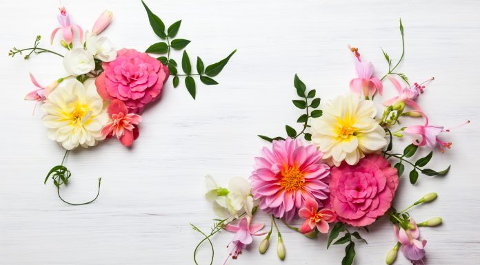 100 Frases de Flores | Belleza y frescor natural e inspirador Frases de Flores