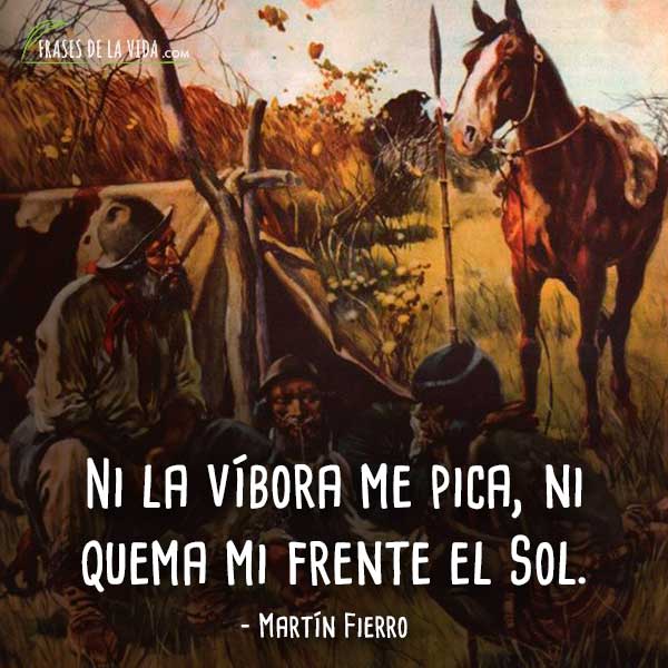 100 Frases de Martín Fierro | El libro nacional de los argentinos [Imágenes]