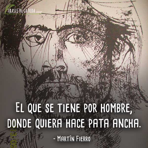 Frases de Martín Fierro
