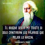 Frases-de-Rabindranath-Tagore-7