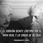 Frases-de-Rabindranath-Tagore-9