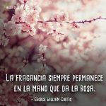 Frases-de-flores-3