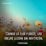 Frases-de-flores-7