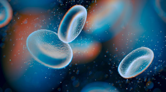 110 Frases de biología | La ciencia que estudia la vida frases de biología