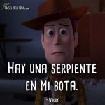 Frases-Toy-Story-2