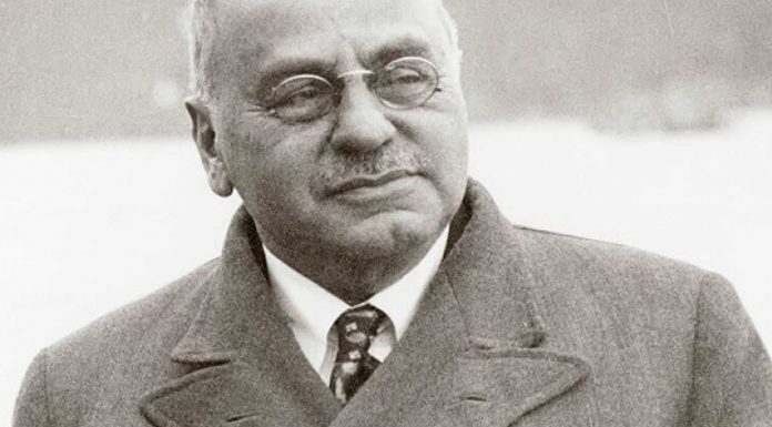 70 Frases de Alfred Adler | Comprendiendo la psicología individual Frases de Alfred Adler