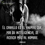 Frases-de-caballos-9