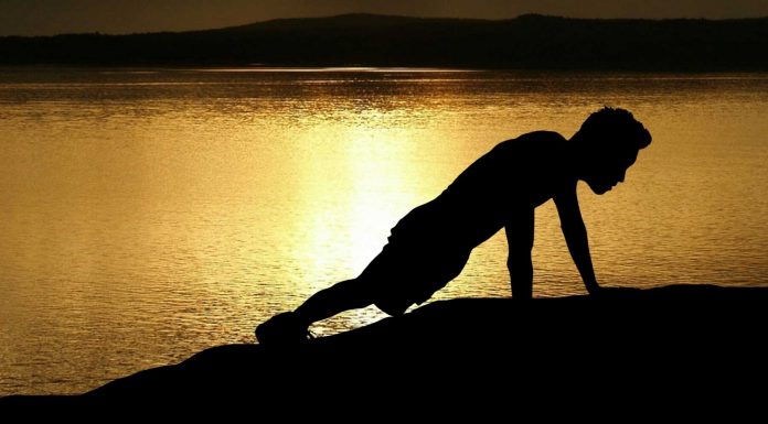 120 Frases de Fuerza de Voluntad | La mejor aliada del éxito Frases de fuerza de voluntad