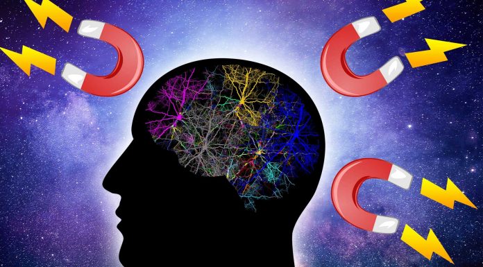 30 Frases de la ley de atracción | Las vibraciones de tu universo Frases de la ley de atracción