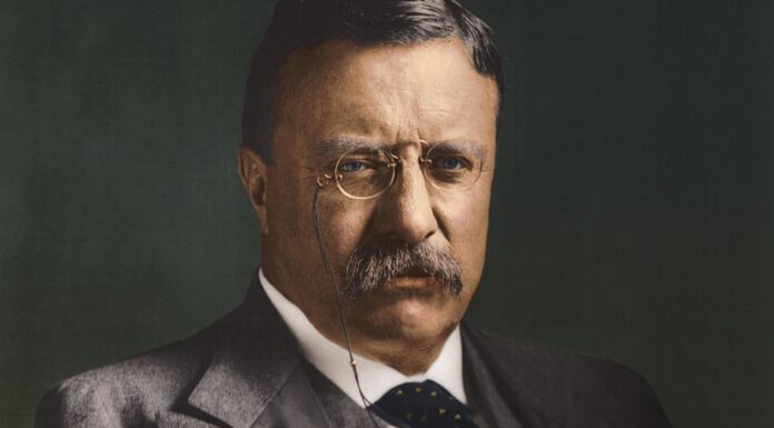 70 Frases de Theodore Roosevelt | Impulsor del progresismo estadounidense Frases de Theodore Roosevelt
