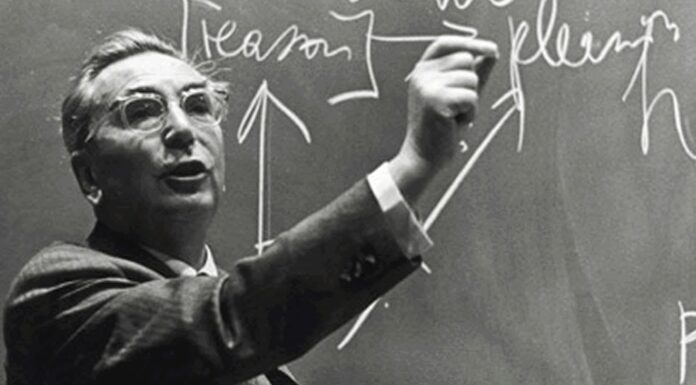 110 Frases de Viktor Frankl | El hombre en busca de sentido Frases de Viktor Frankl