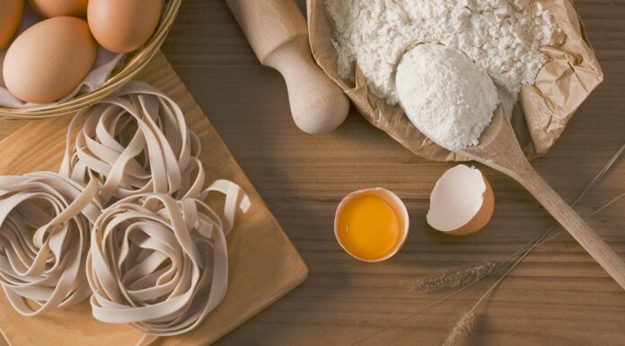 10 Libros de Gastronomía | Un viaje por los sabores del mundo Libros de Gastronomía