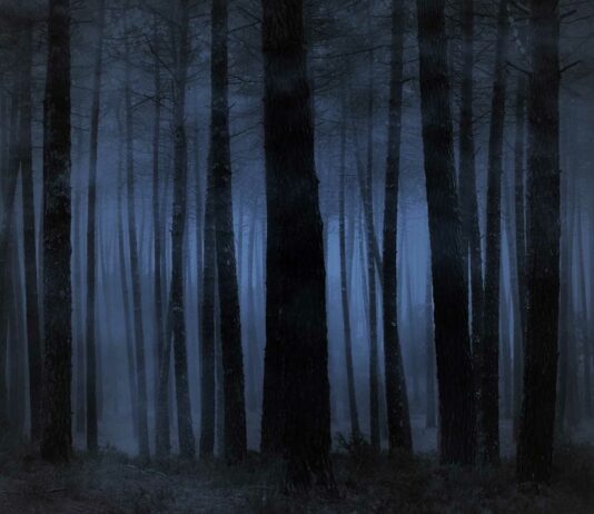 10 Libros de misterio | Recorriendo la literatura del enigma Libros de misterio