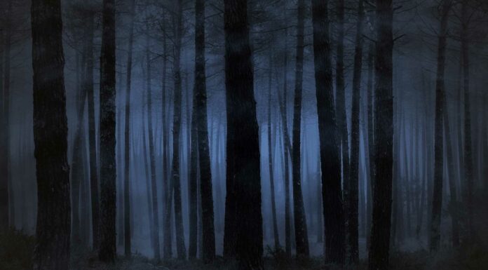 10 Libros de misterio | Recorriendo la literatura del enigma Libros de misterio