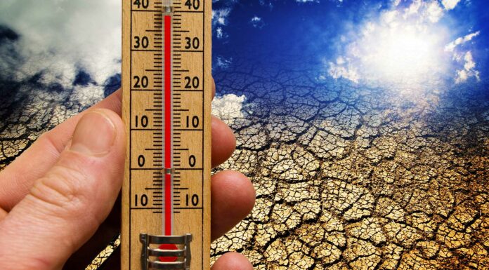 260 Frases de Cambio Climático | Un fenómeno forzado por la humanidad frases de cambio climático