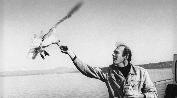 140 Frases de Richard Bach | El aviador de las letras Frases de Richard Bach