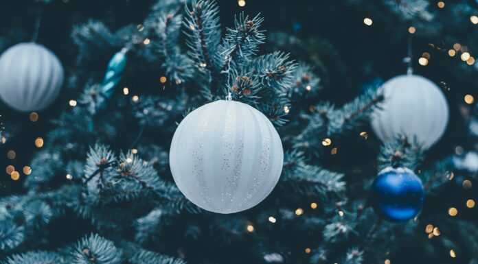 100 Frases para Nochebuena | Prepárate para una noche muy especial Frases para Nochebuena