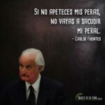 Frases-de-Carlos-Fuentes-3
