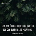 Frases-de-Árboles-3